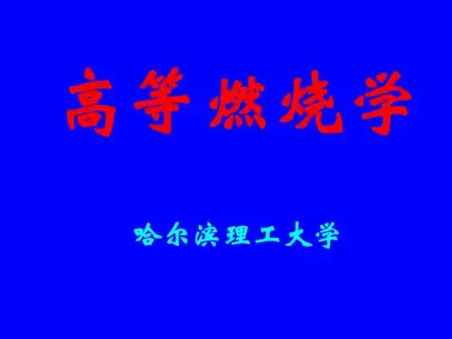 燃烧第一章