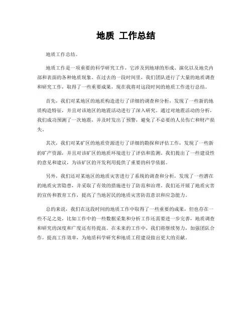 地质 工作总结