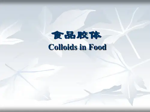 食品胶体-第一章教学提纲