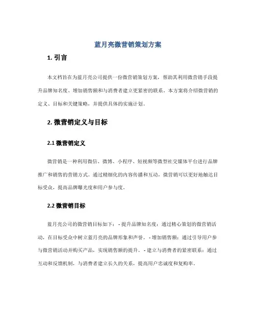蓝月亮微营销策划方案
