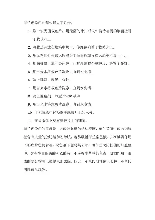 革兰氏染色过程