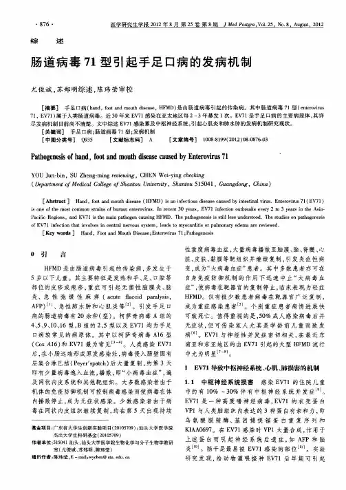 肠道病毒71型引起手足口病的发病机制