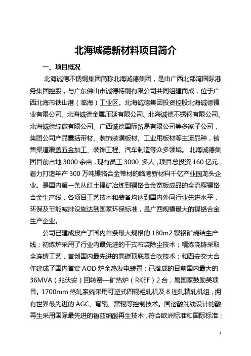 北海诚德新材料生产项目简介(修正) (1)