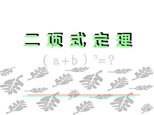 二项式定理PPT课件 (2)可修改文字