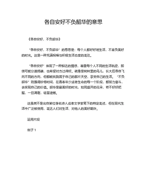 各自安好不负韶华的意思