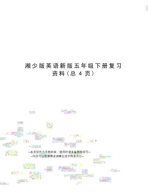 湘少版英语新版五年级下册复习资料
