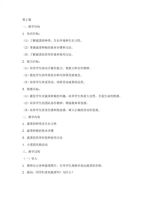 小菜园实践活动教学设计(3篇)
