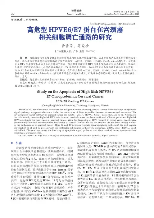 高危型HPVE6E7蛋白在宫颈癌相关细胞调亡通路的研究