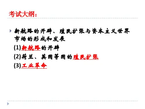 世界市场形成和发展课件