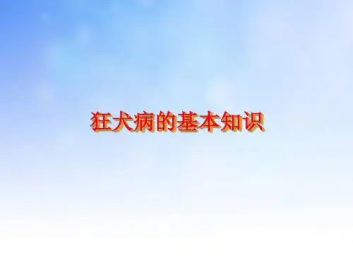 狂犬病的基本知识ppt课件演示文稿