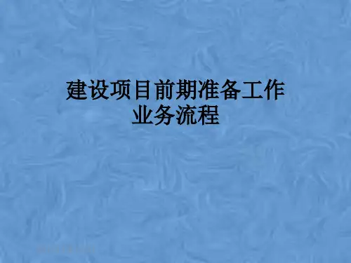 建设项目前期准备工作业务流程