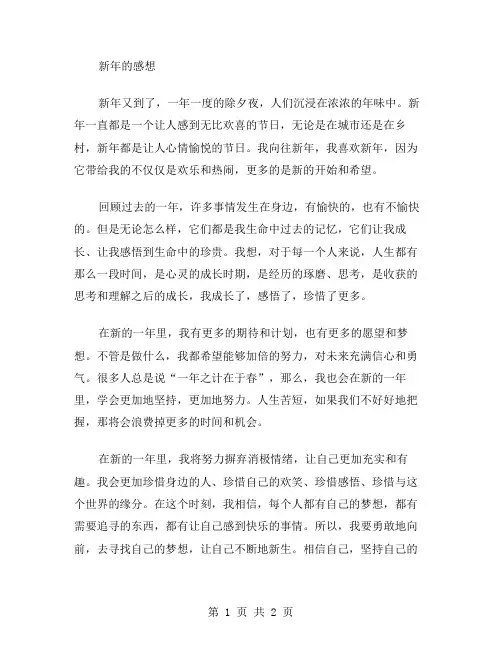 新年的感想作文范文