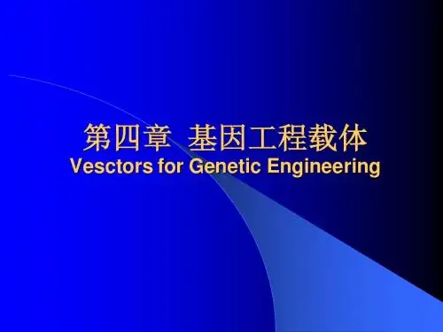基因工程载体
