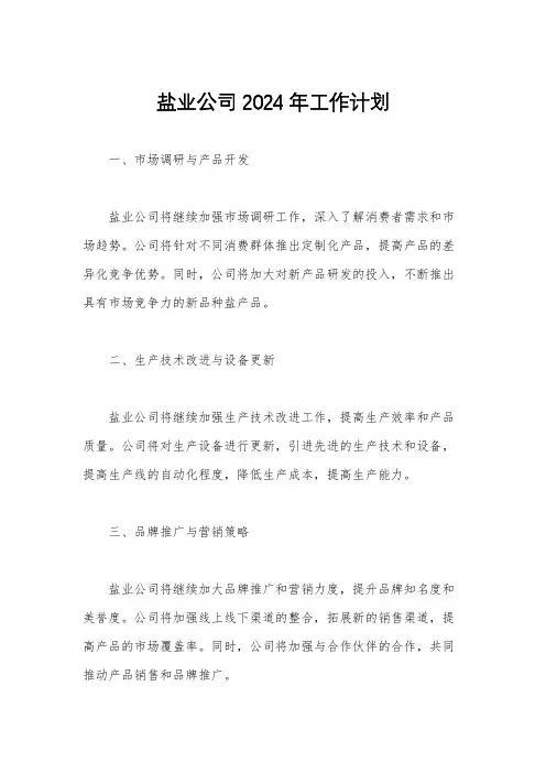 盐业公司2024年工作计划