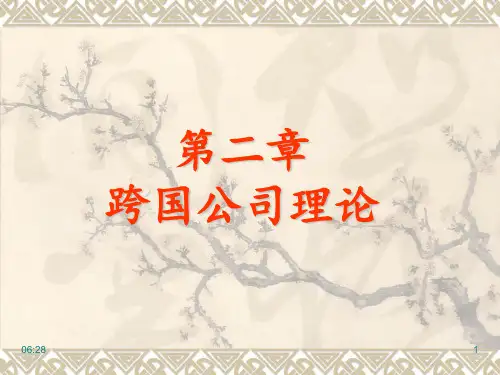 跨国公司理论