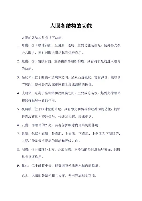 人眼各结构的功能