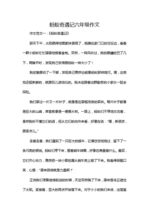 蚂蚁奇遇记六年级作文