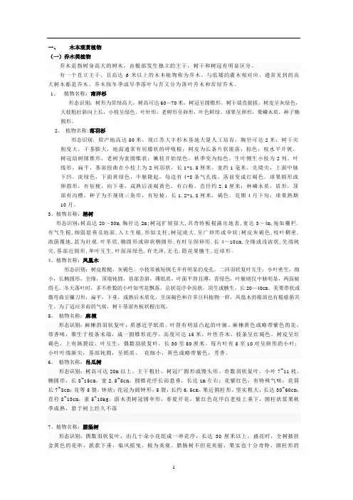 观赏植物报告