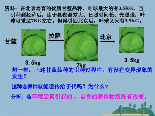 第五章第节基因突变和基因重组(共52张PPT)