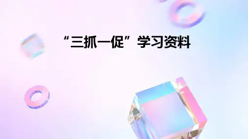 “三抓一促”学习资料