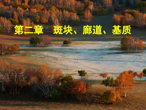 景观生态学：第二章  斑块、廊道、基质