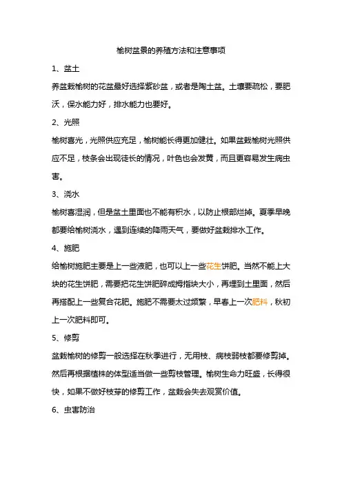 榆树盆景的养殖方法和注意事项