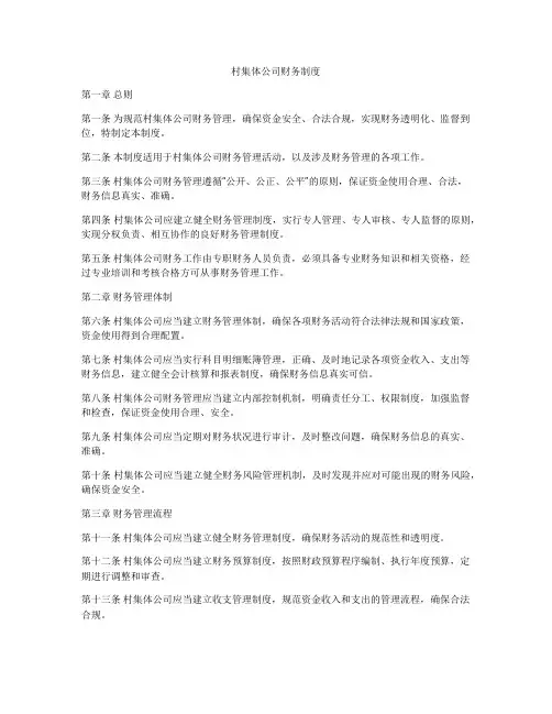 村集体公司财务制度