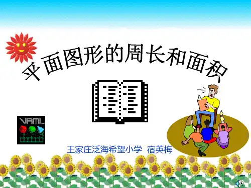 平面图形的面积与周长复习