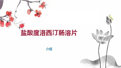 盐酸度洛西汀肠溶片