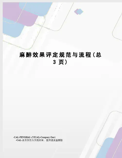 麻醉效果评定规范与流程