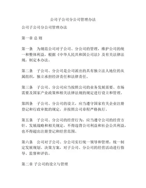 公司子公司分公司管理办法