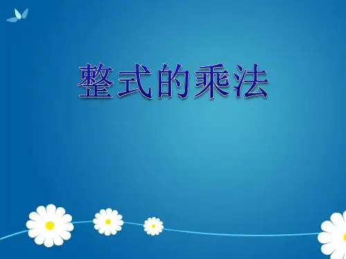 《整式的乘法》课件 1