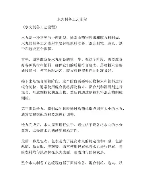 水丸制备工艺流程