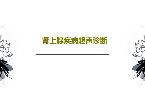 肾上腺疾病超声诊断63页PPT
