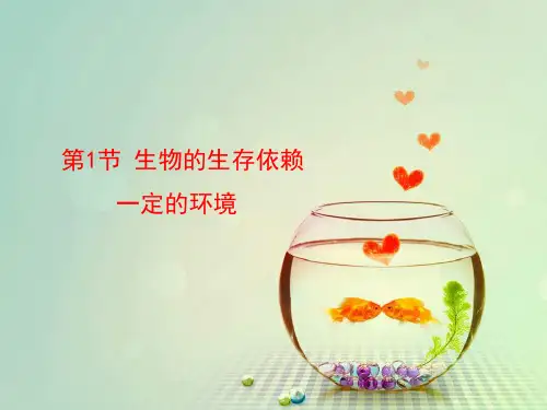 第23章第一节 《生物的生存依赖一定的环境》演示课件(共21张PPT)