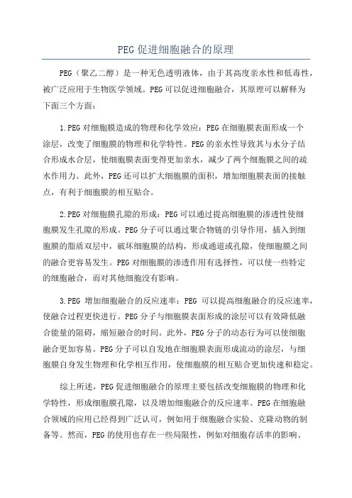 PEG促进细胞融合的原理