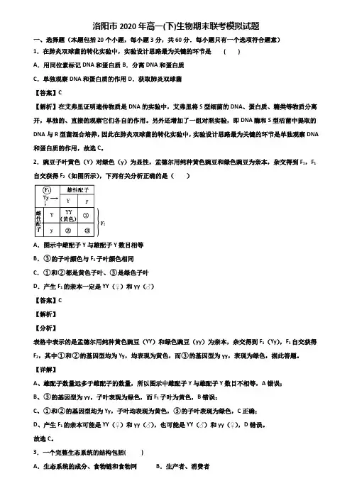 洛阳市2020年高一(下)生物期末联考模拟试题含解析