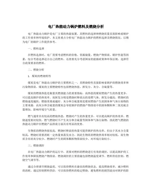 电厂热能动力锅炉燃料及燃烧分析