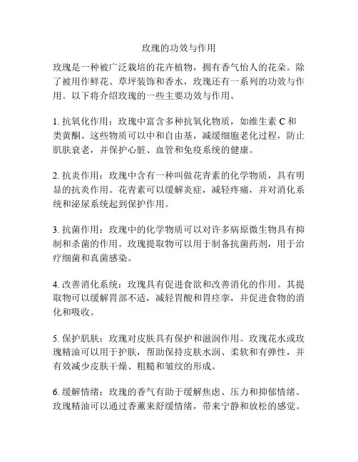 玫瑰的功效与作用