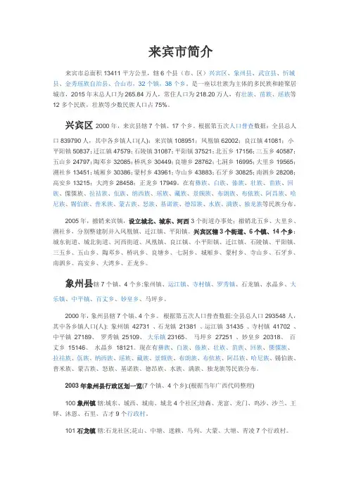来宾市简介
