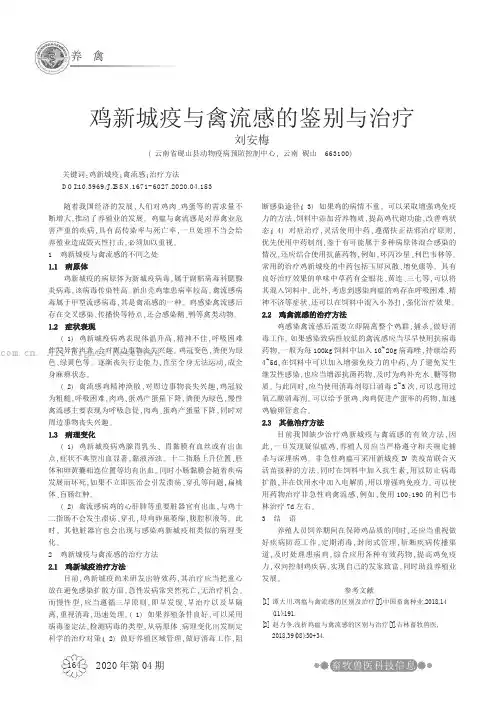 鸡新城疫与禽流感的鉴别与治疗