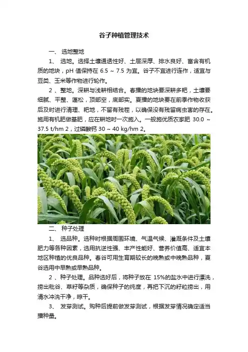 谷子种植管理技术