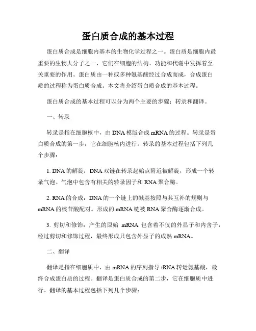 蛋白质合成的基本过程