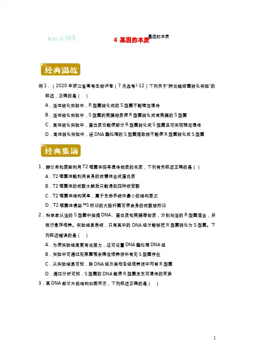 新教材2020_2021学年高一生物下学期暑假训练4基因的本质20210621446