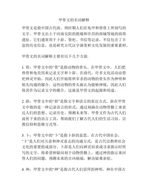 甲骨文的名词解释