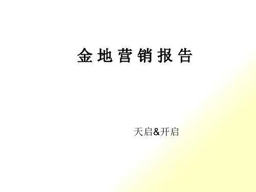 金地营销报告(PPT46)