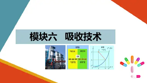吸收技术—确定吸收操作条件(制药单元操作技术课件)