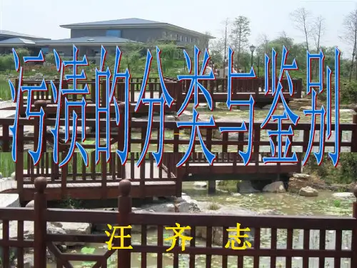 污渍的分类