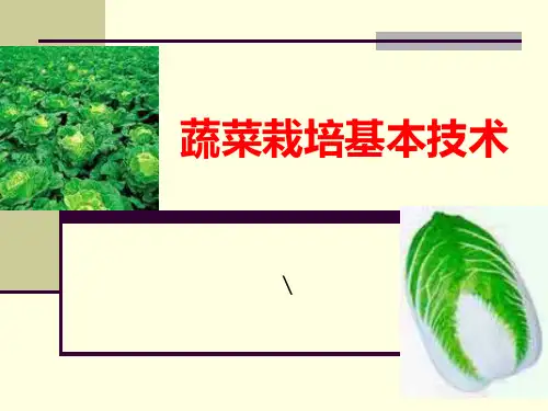 蔬菜栽培基本技术