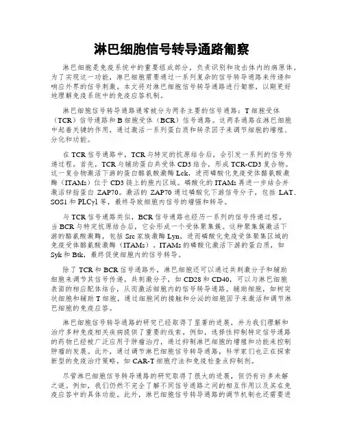 淋巴细胞信号转导通路匍察